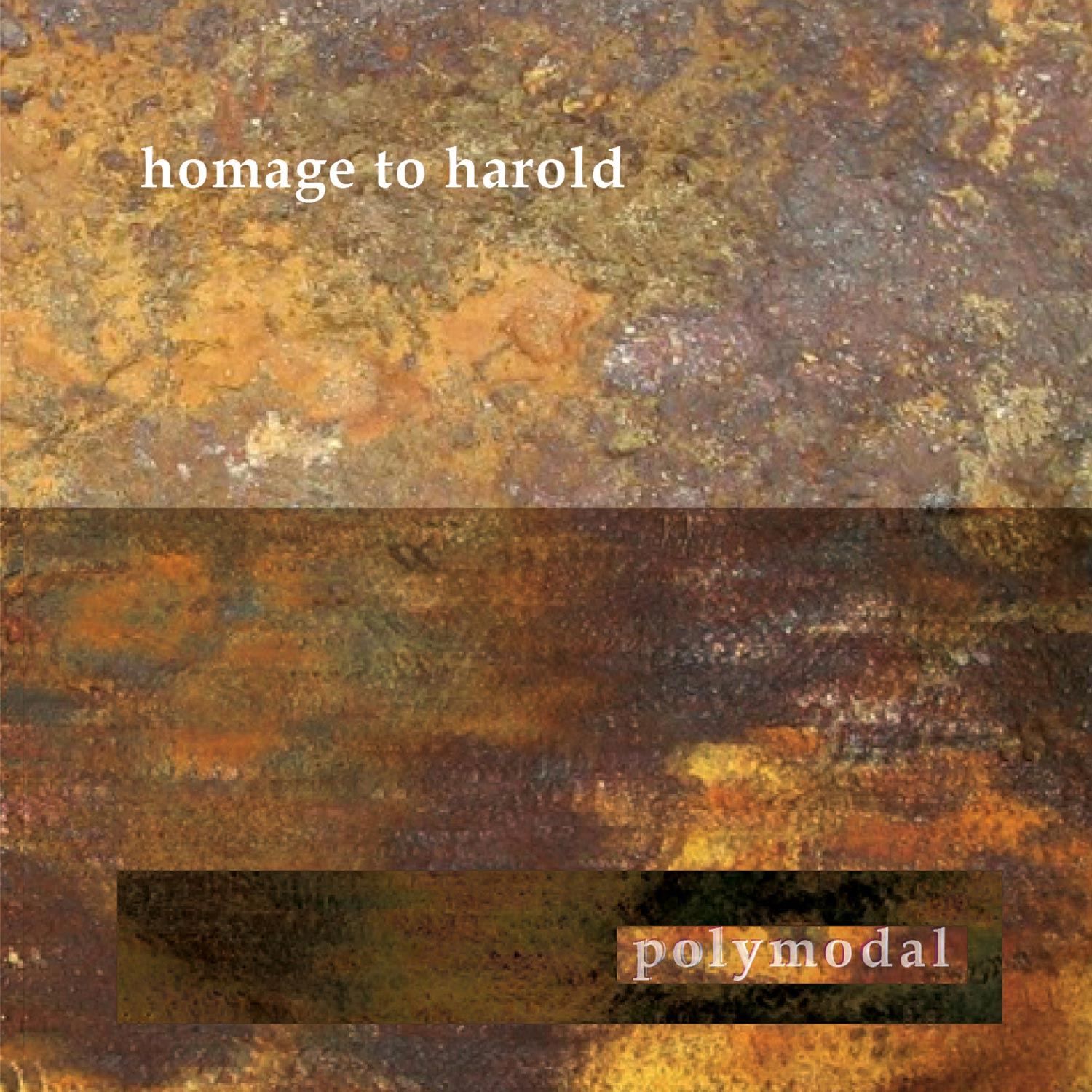 cover of homage to harold by Polymodal/John Duggan
